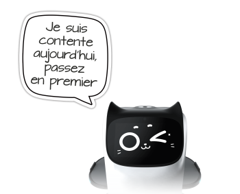 Robot Chat Serveur