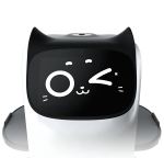Robot Chat Serveur